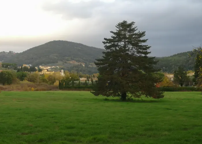 Open Space Nel Parco Con Parcheggio Gratuito